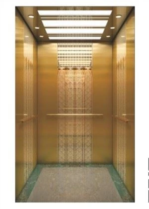 AOYAMA Machine Roomless (MRL) Vvvf Control Komercyjna winda pasażerska